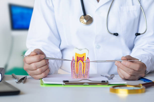 Best Emergency Denture Repair in Lewisville, NC